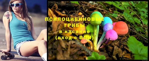 гашик Нефтекумск